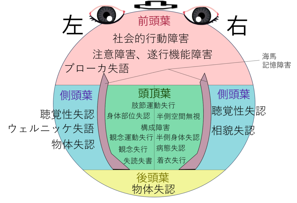 高次脳機能の見取図