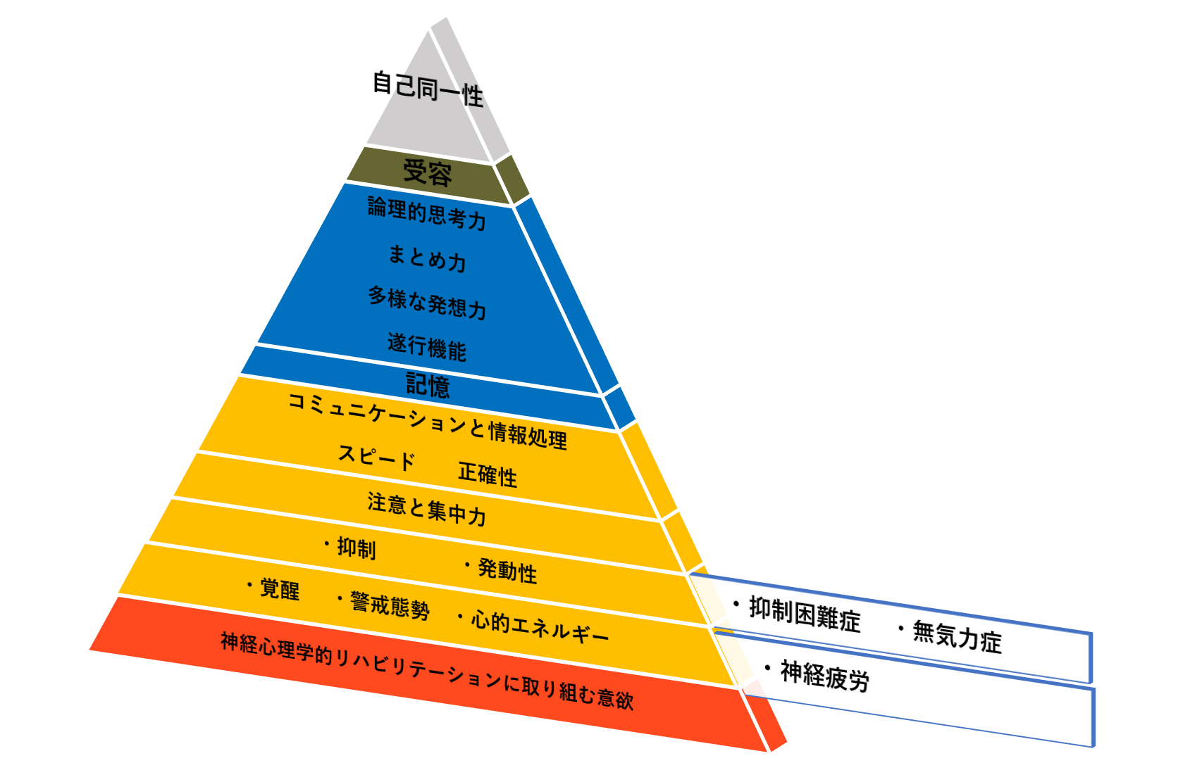 神経心理ピラミッド